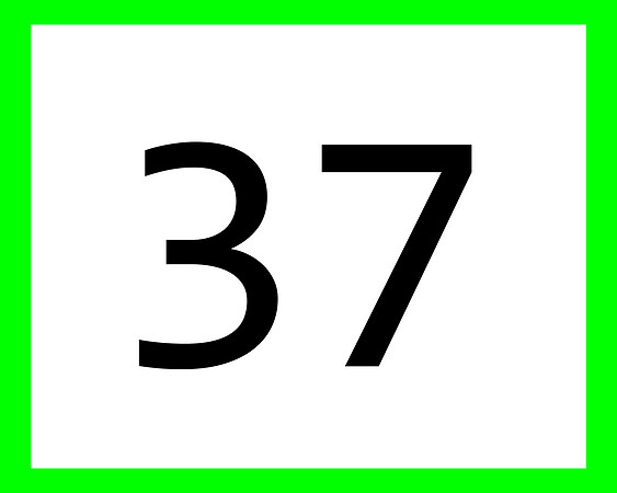 037_green.jpg